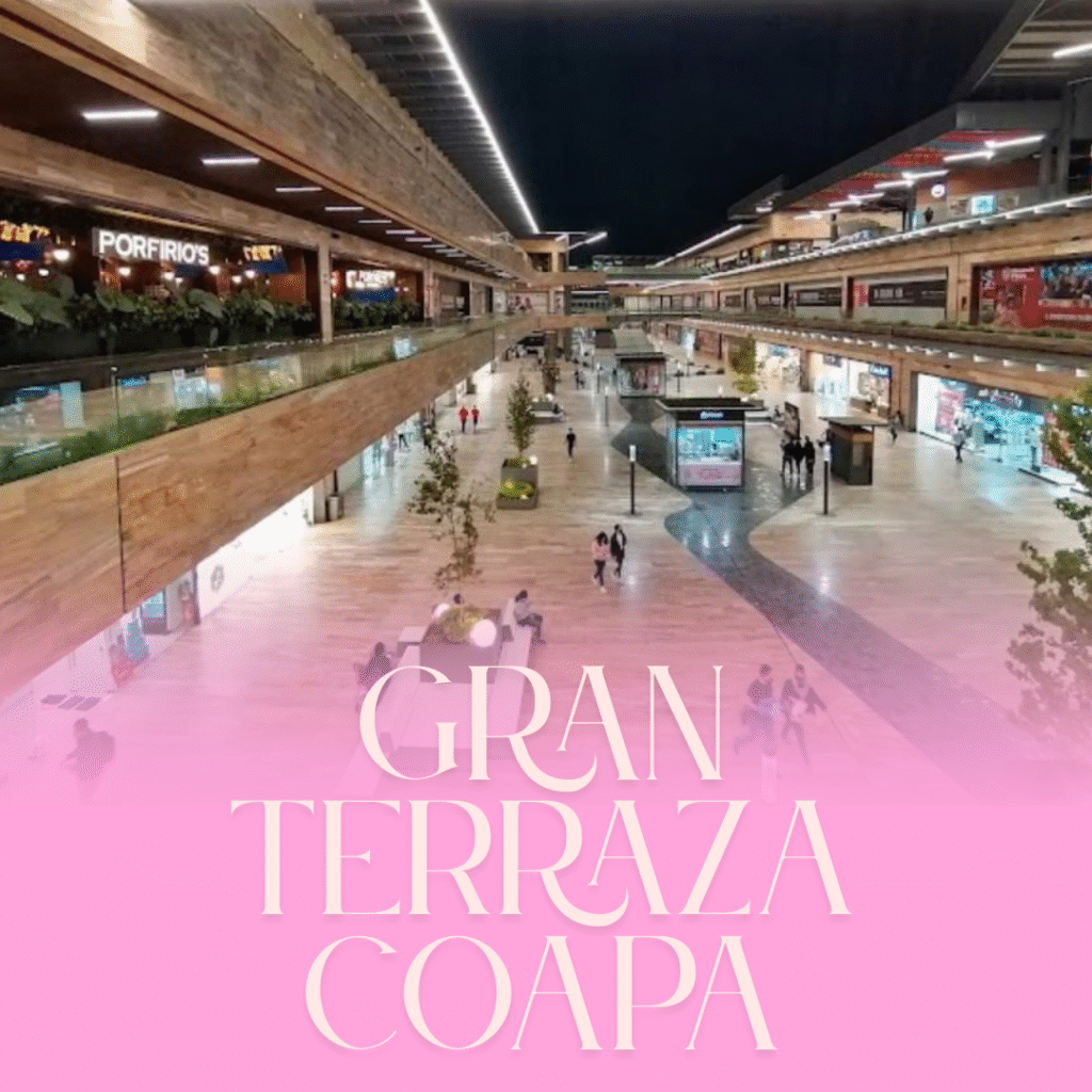 ENVIOS Ciudad de México (16)