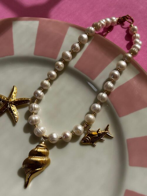 Collar Bivalvo - Image 3