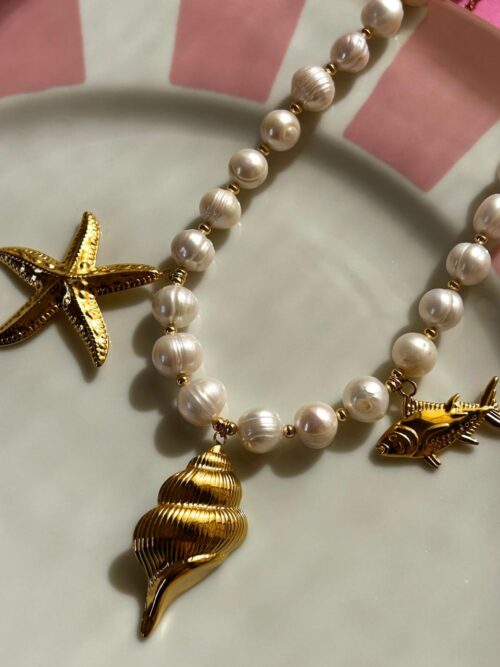Collar Bivalvo - Image 2