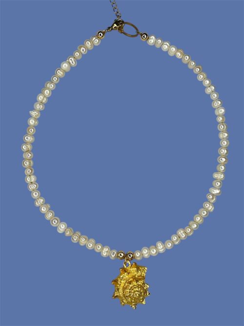 Collares pescadores - Image 5